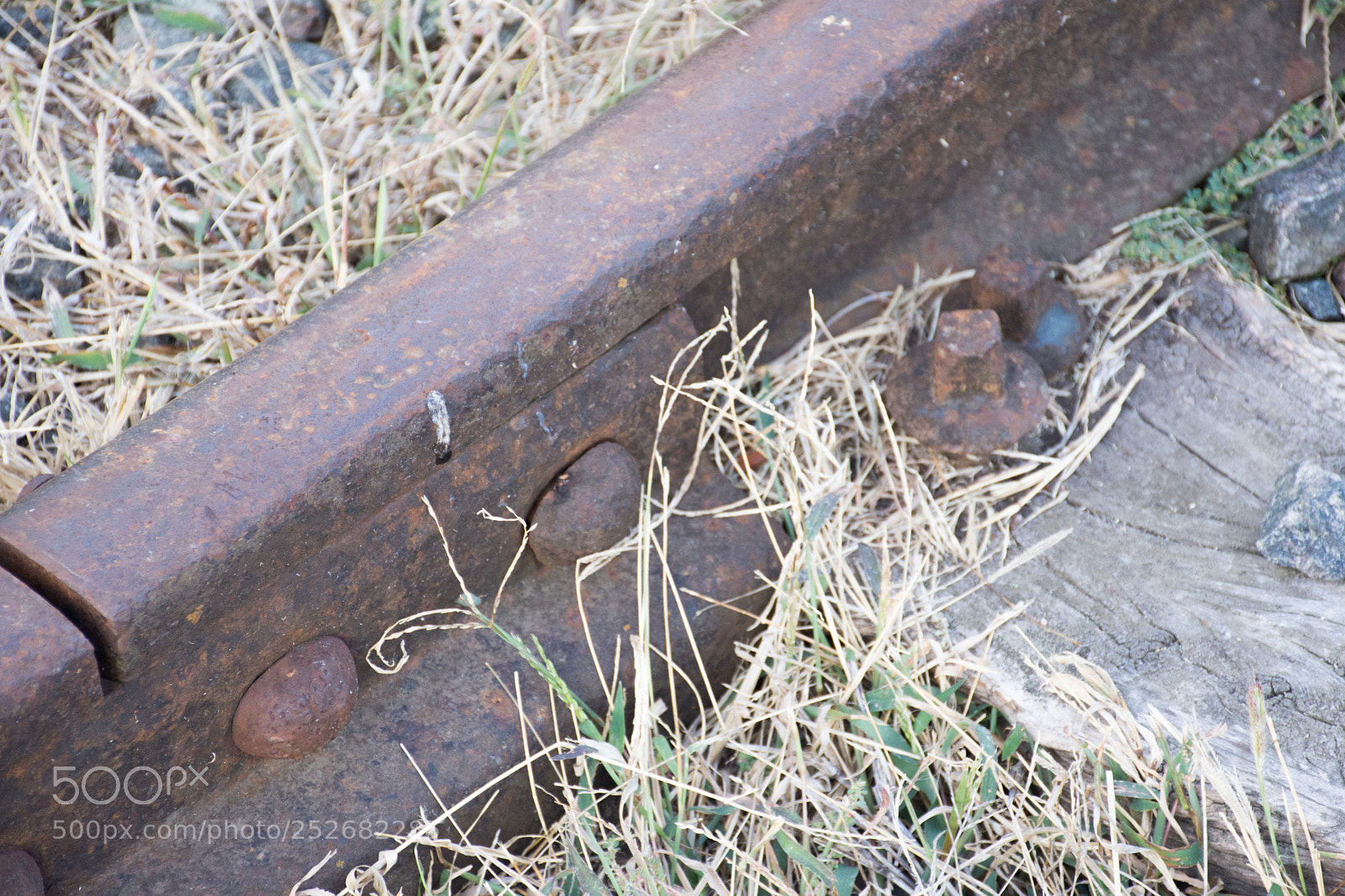 Nikon D7200 sample photo. Riel photography