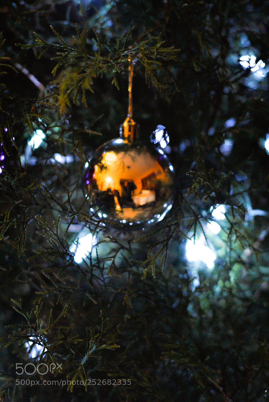 Nikon D3000 sample photo. Lights! photography