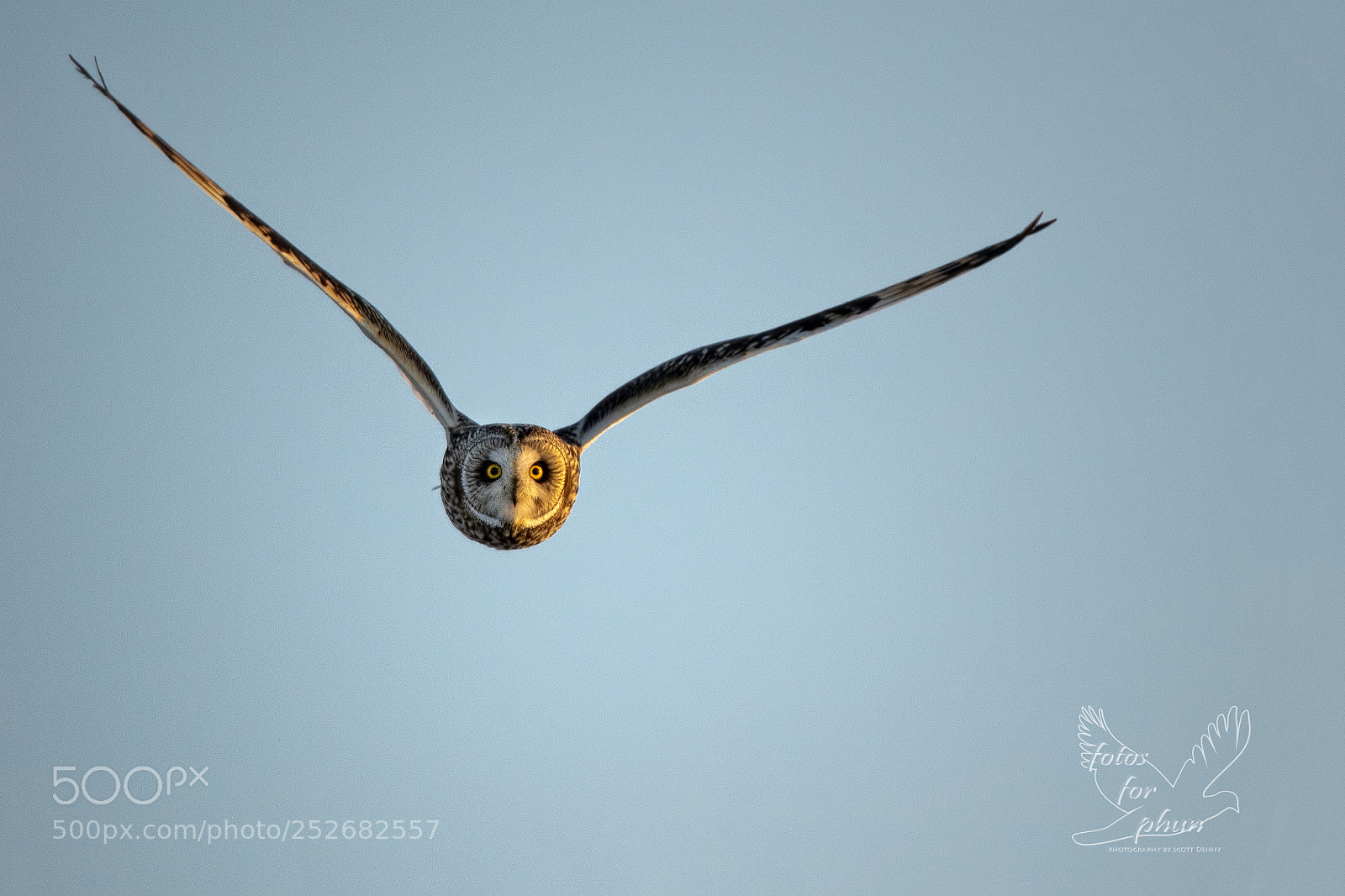 Canon EOS 7D Mark II sample photo. Eye contact photography