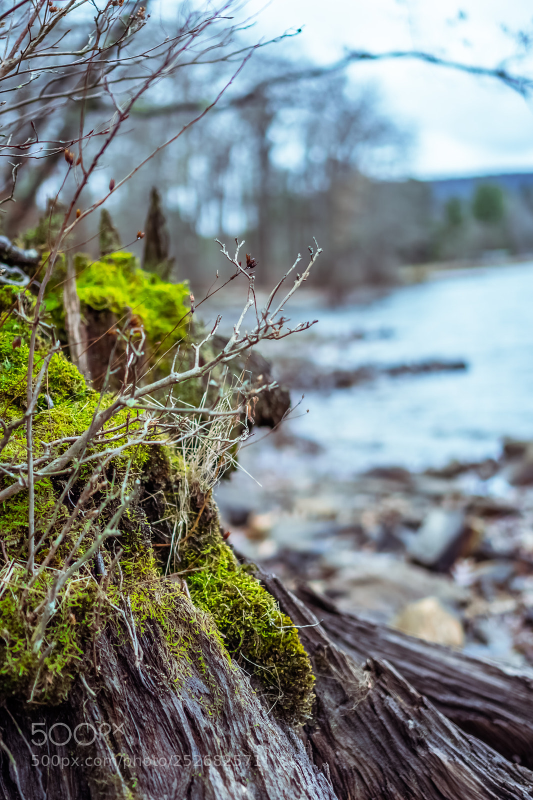 Sony a6500 sample photo. I moss ask you photography