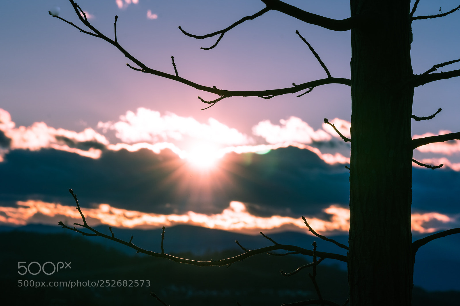 Sony a6500 sample photo. Nature's frame photography