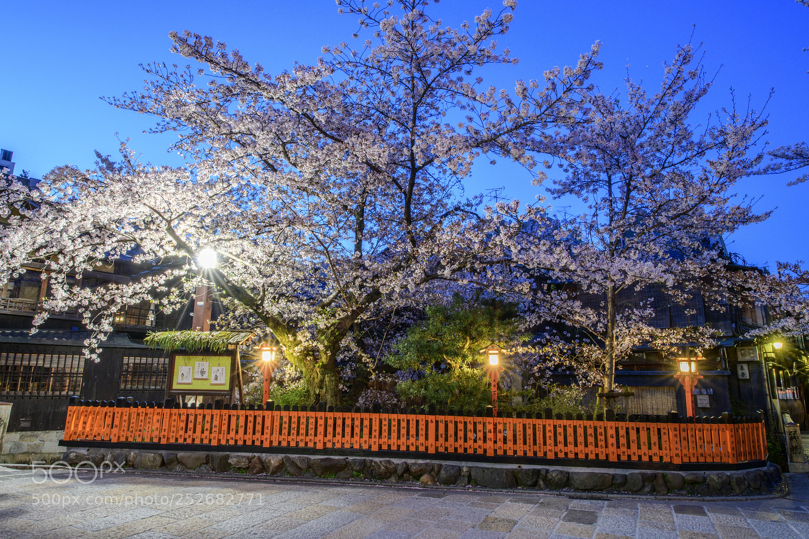 Nikon D850 sample photo. Gion kyoto  (祇園, ぎおん) photography