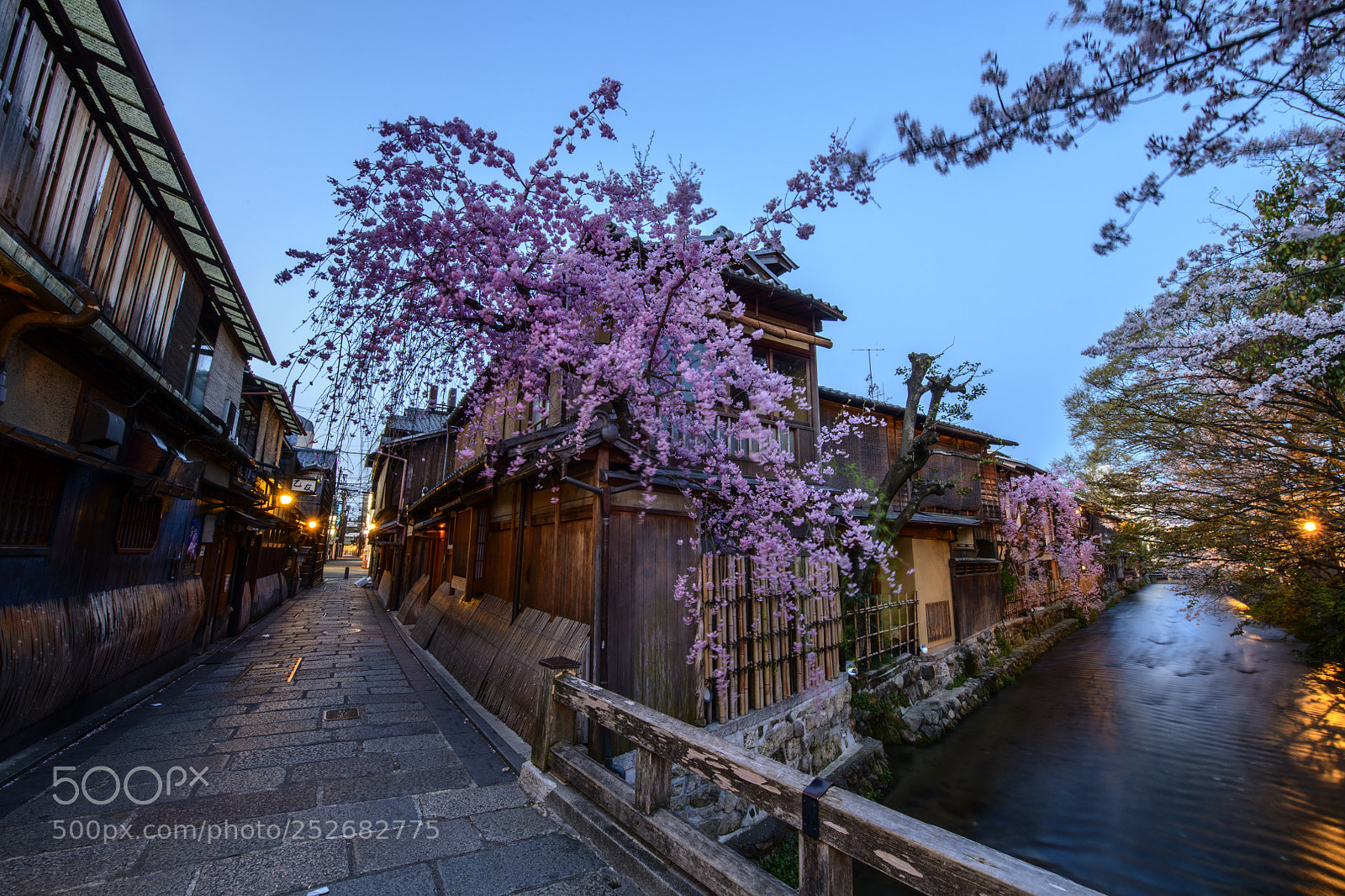 Nikon D850 sample photo. Gion kyoto  (祇園, ぎおん) photography
