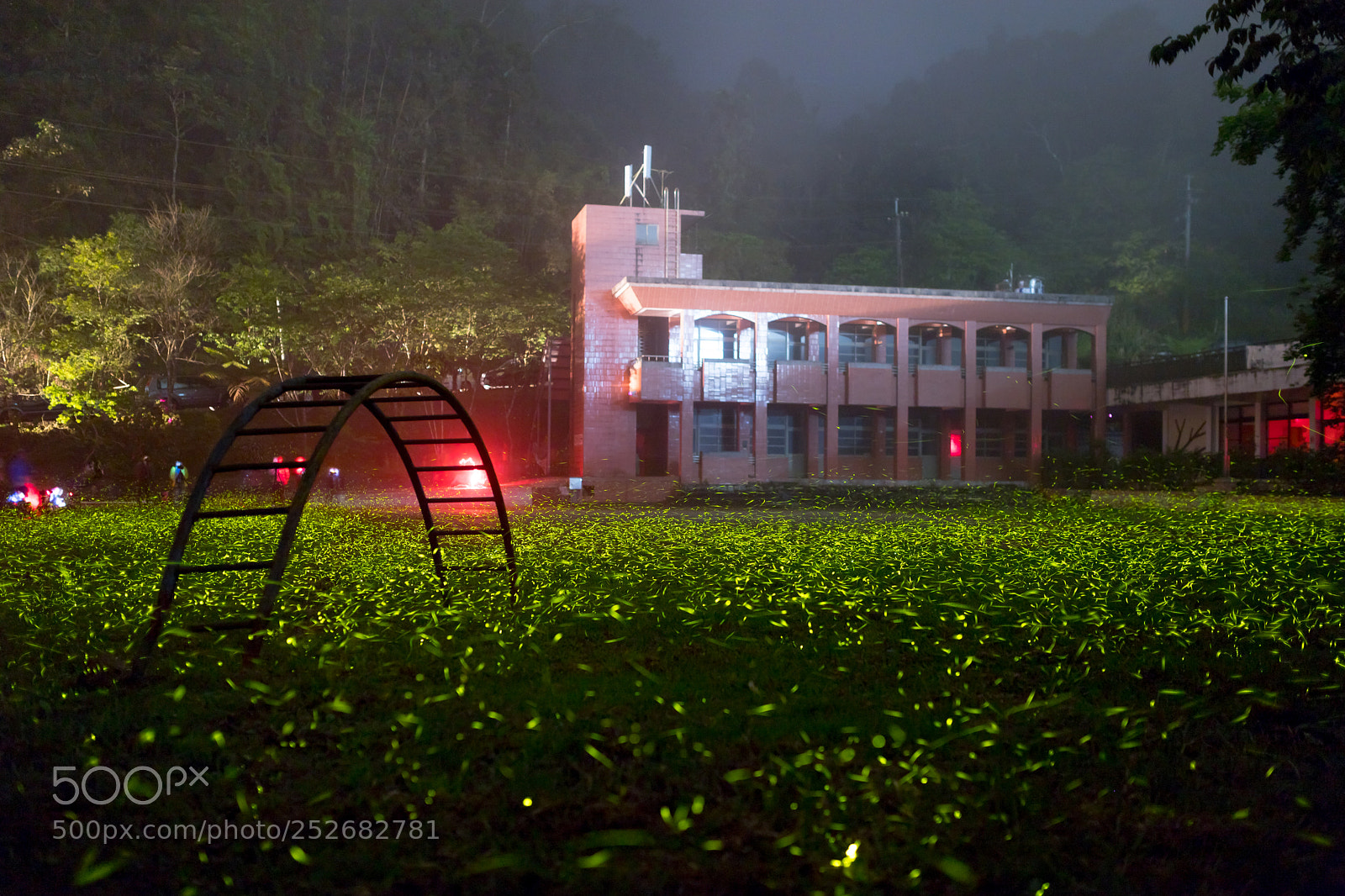 Canon EOS 6D Mark II sample photo. Untitled photography