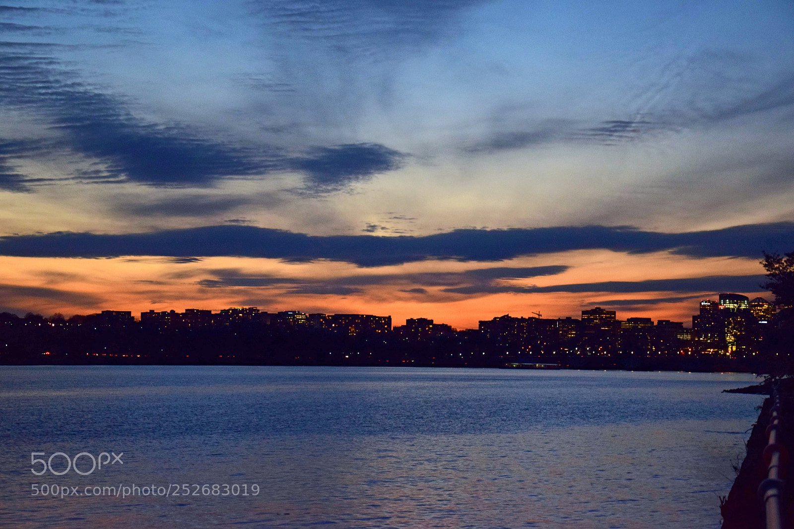 Nikon D5300 sample photo. Rosslyn on the river photography