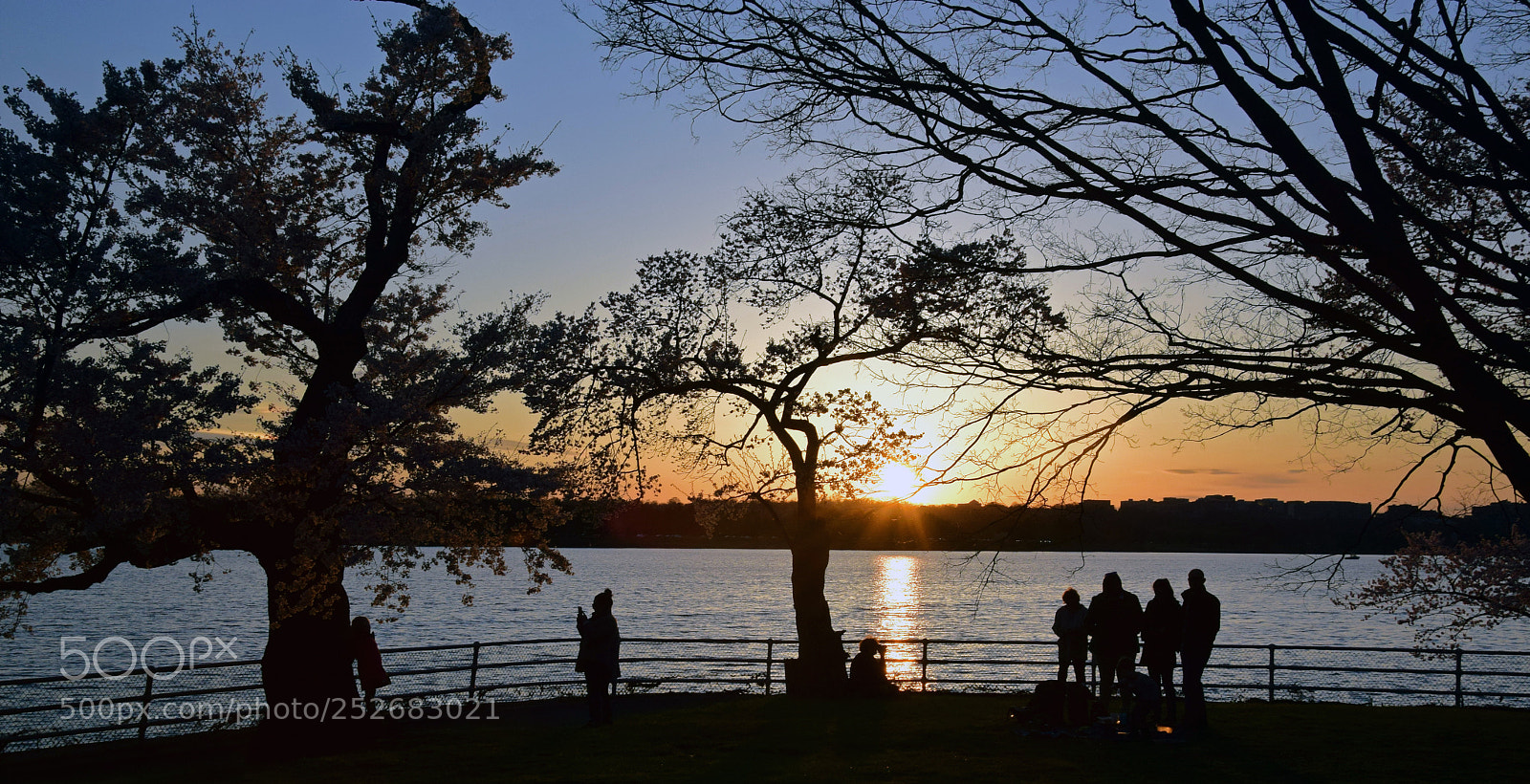 Nikon D5300 sample photo. Shadow family photography
