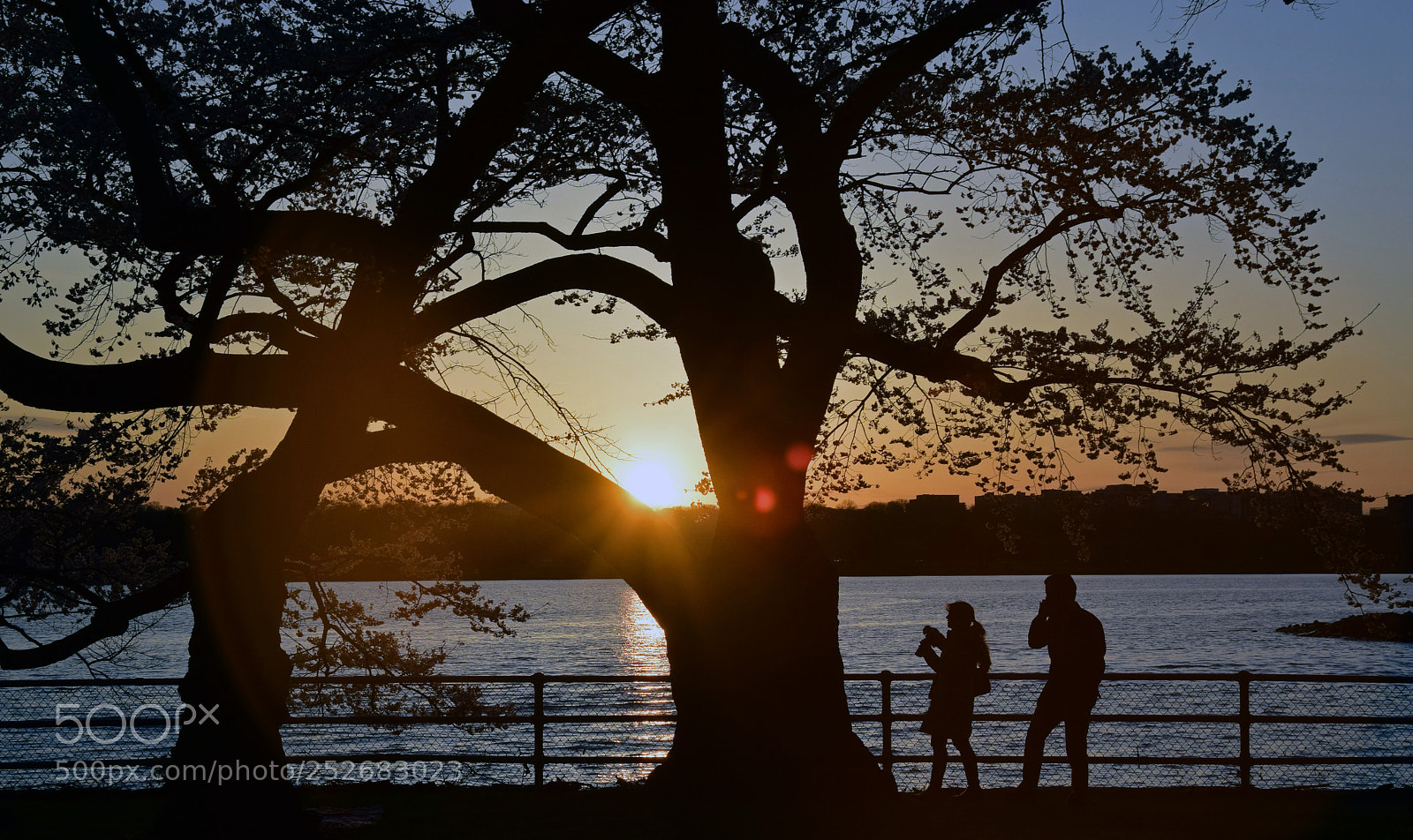 Nikon D5300 sample photo. Silhouette couple photography