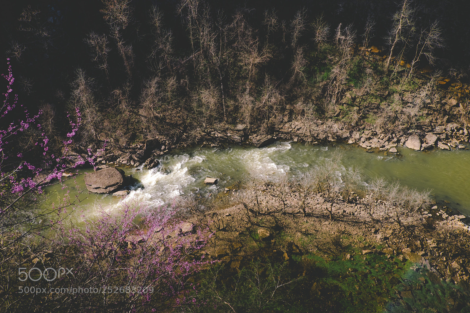 Fujifilm X-T1 sample photo. River flows in you  photography