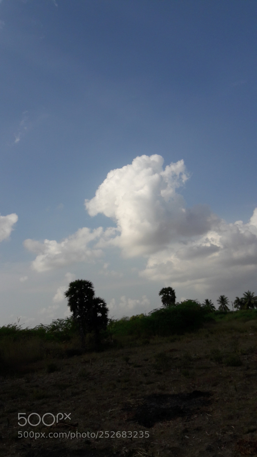 Samsung Galaxy J7 sample photo. Untitled photography
