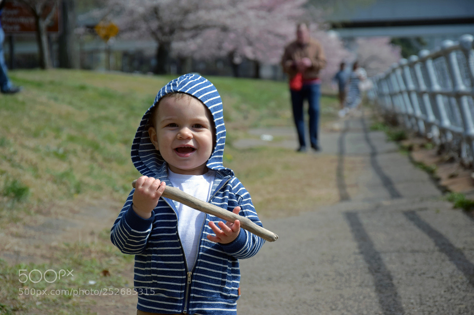 Nikon D5300 sample photo. Henry hood photography
