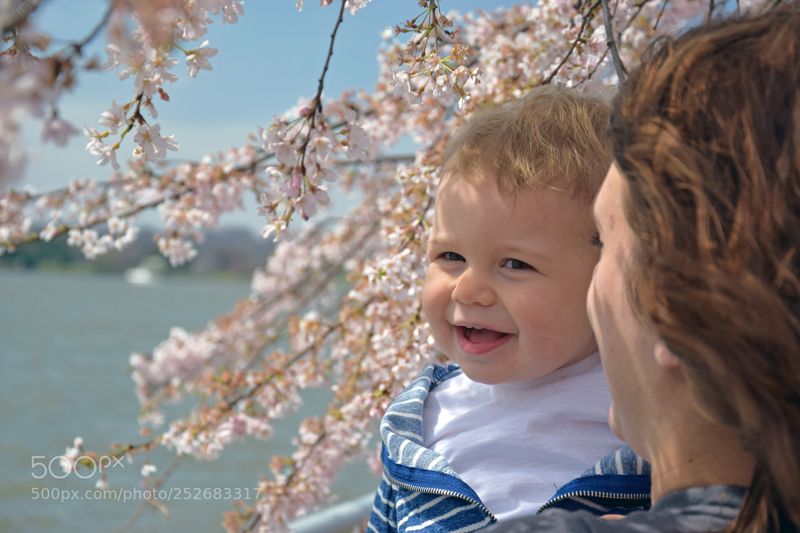 Nikon D5300 sample photo. Children and cherry blossoms photography