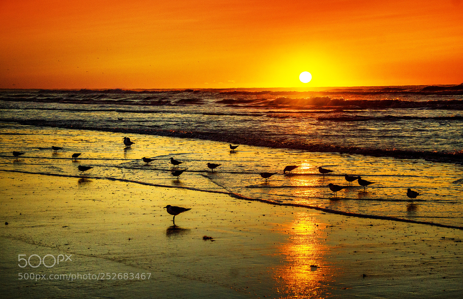 Canon EOS 550D (EOS Rebel T2i / EOS Kiss X4) sample photo. Sunrise at the jersey photography