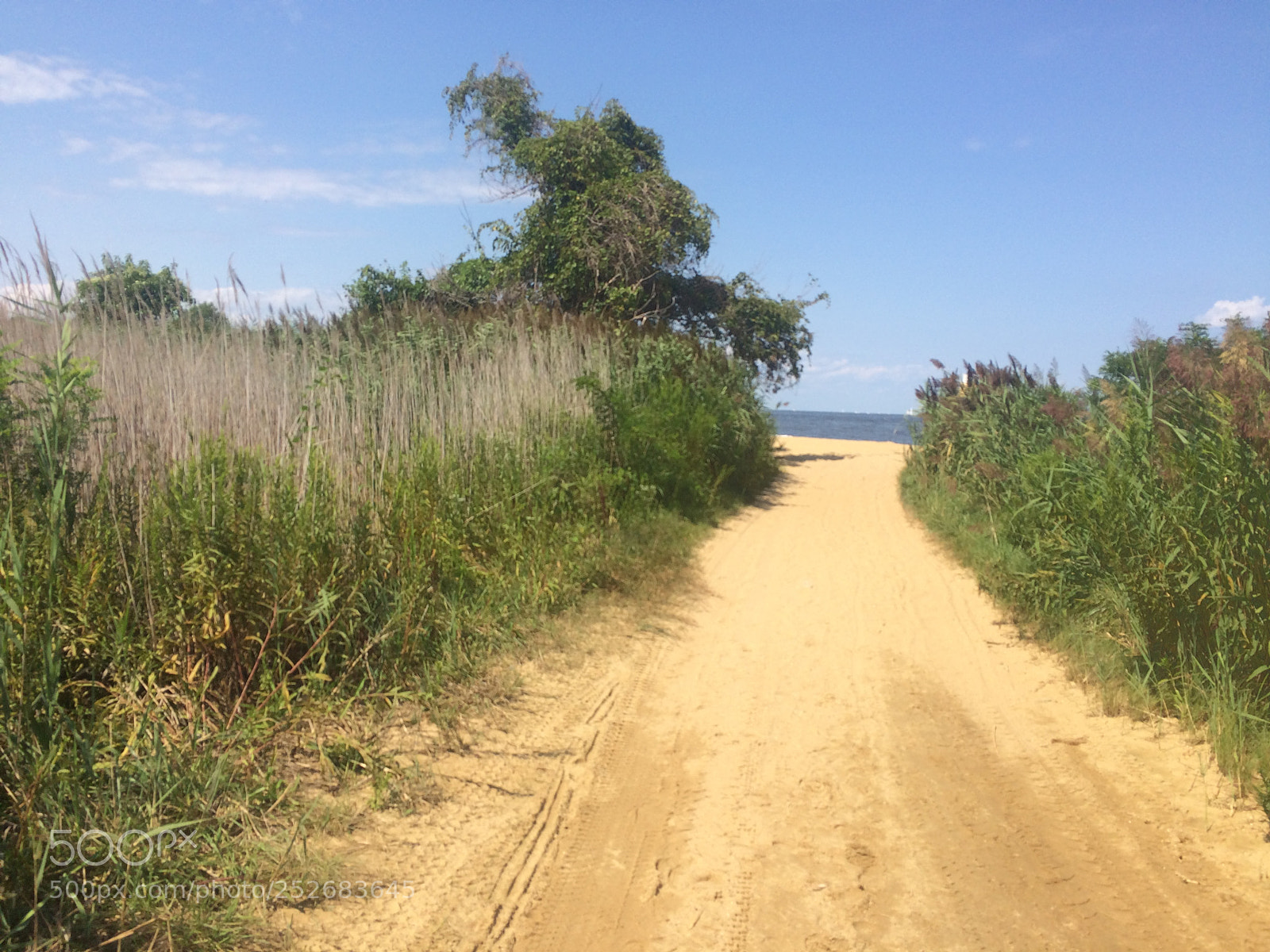 Apple iPhone 5s sample photo. Sandy point state park photography