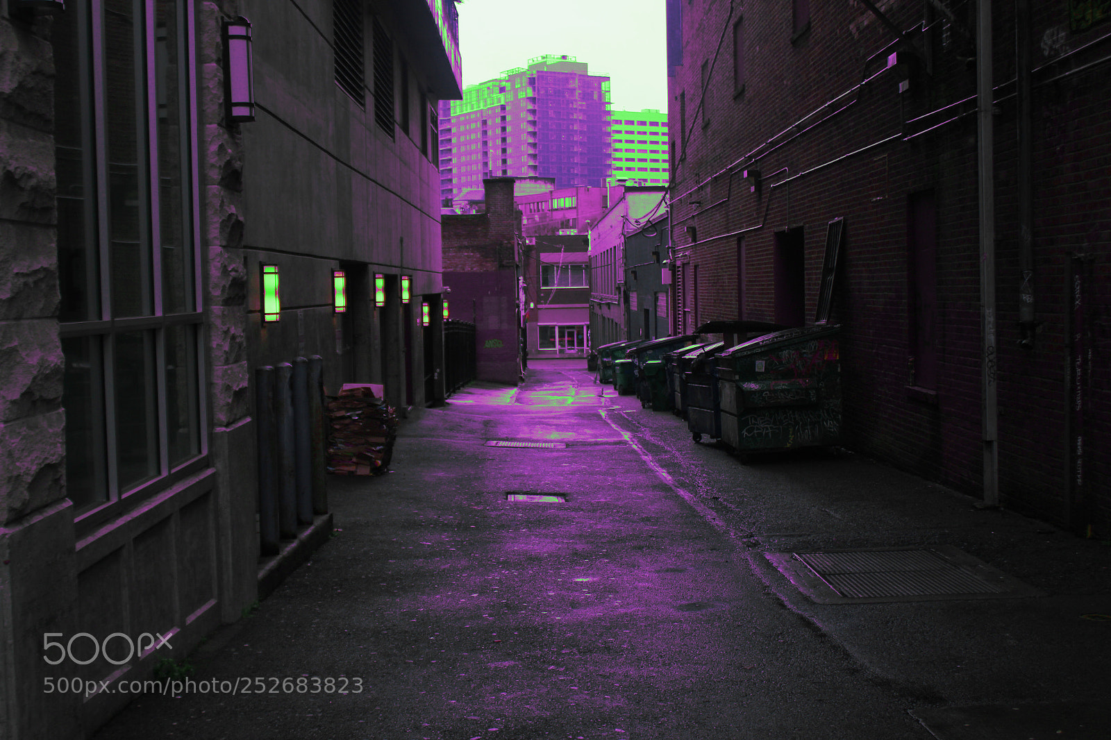 Canon EOS 700D (EOS Rebel T5i / EOS Kiss X7i) sample photo. Xalley photography