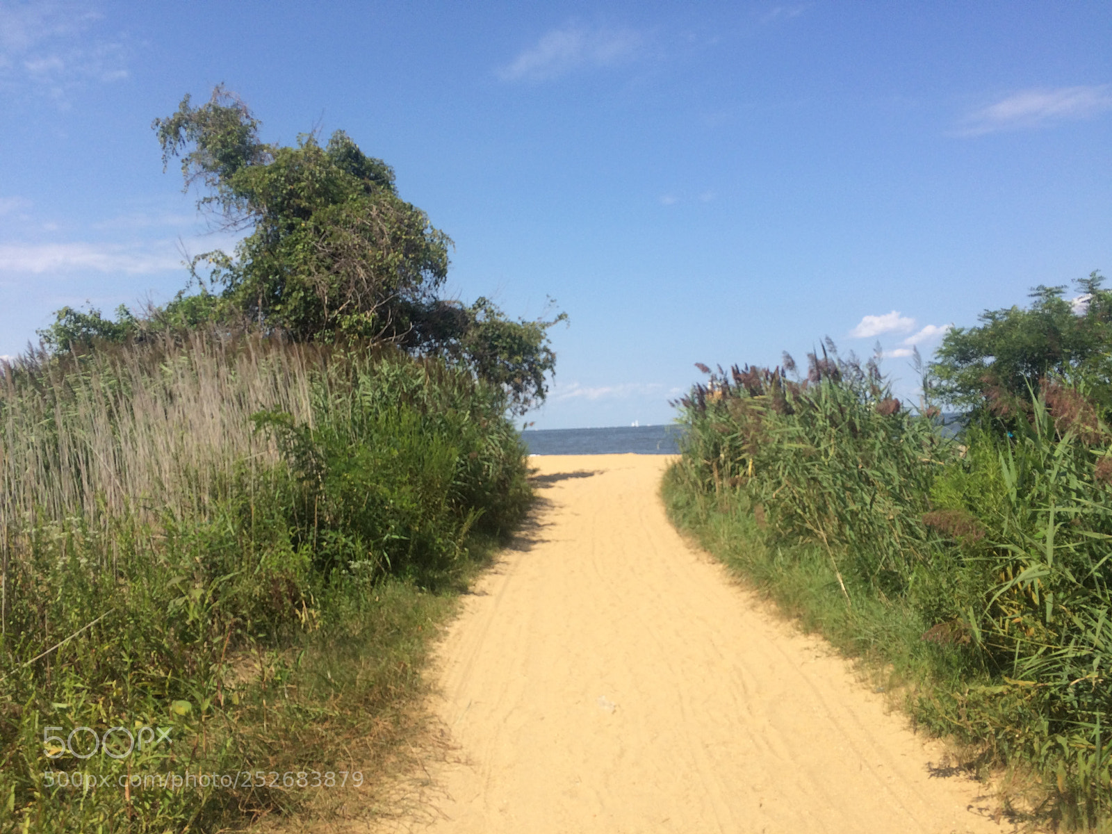 Apple iPhone 5s sample photo. Sandy point 2 photography