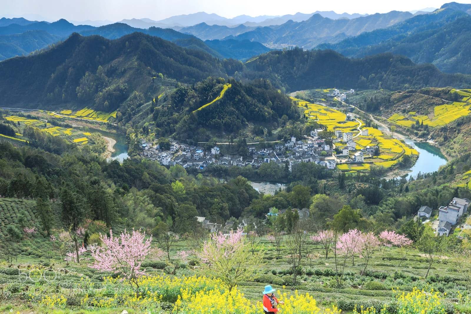 Canon EOS 5D Mark IV sample photo. Untitled photography