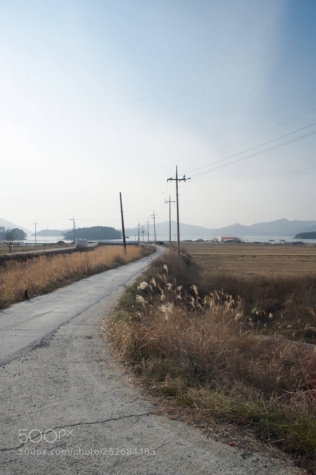 Nikon D700 sample photo. Floating road 2 photography