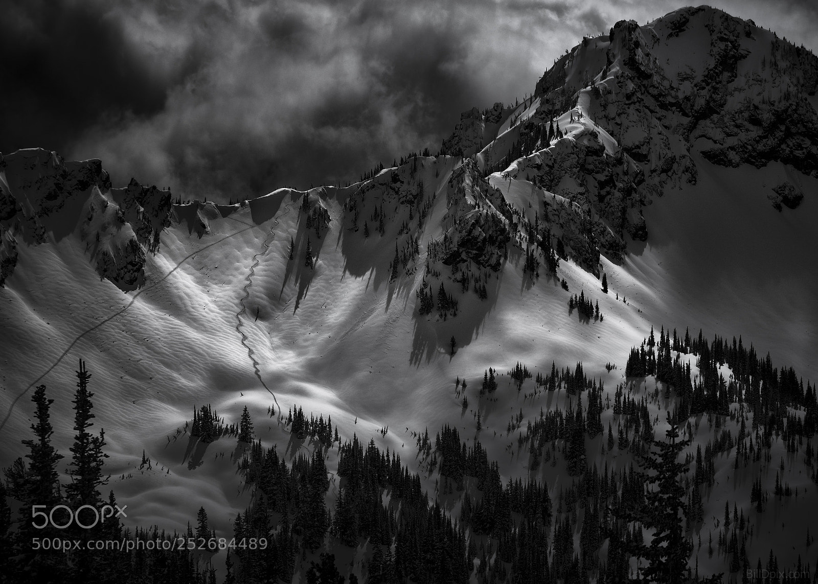 Olympus OM-D E-M1 Mark II sample photo. Solo line photography