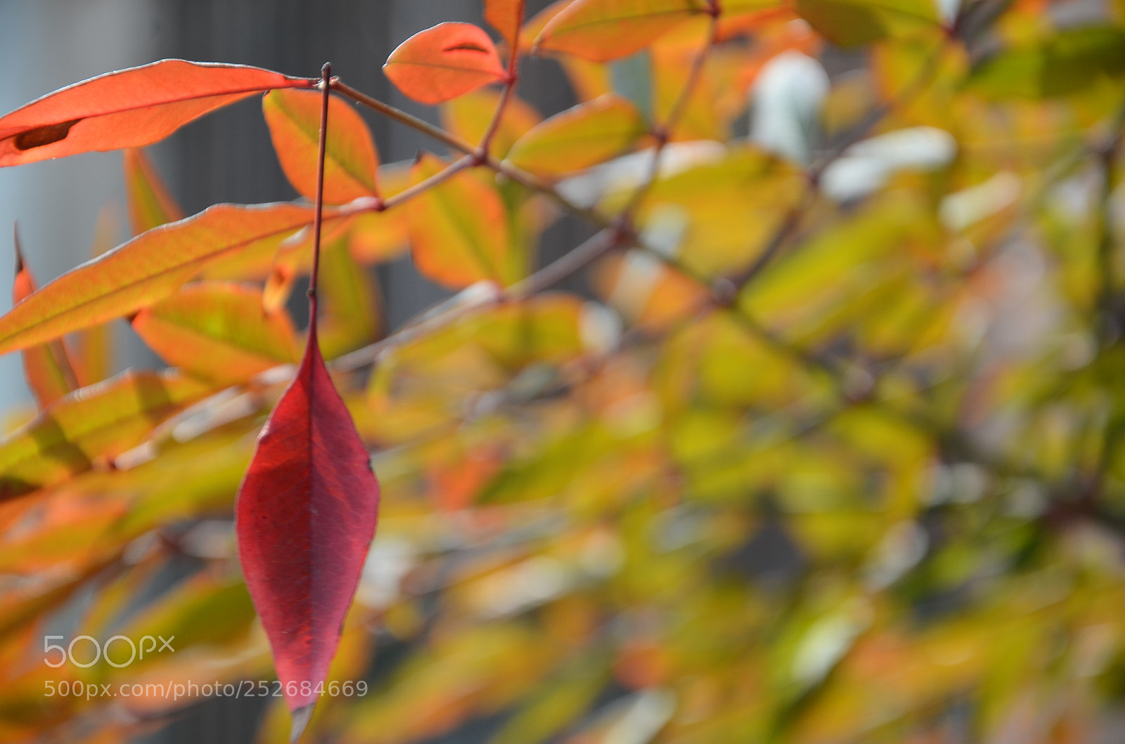 Nikon D7000 sample photo. Untitled photography