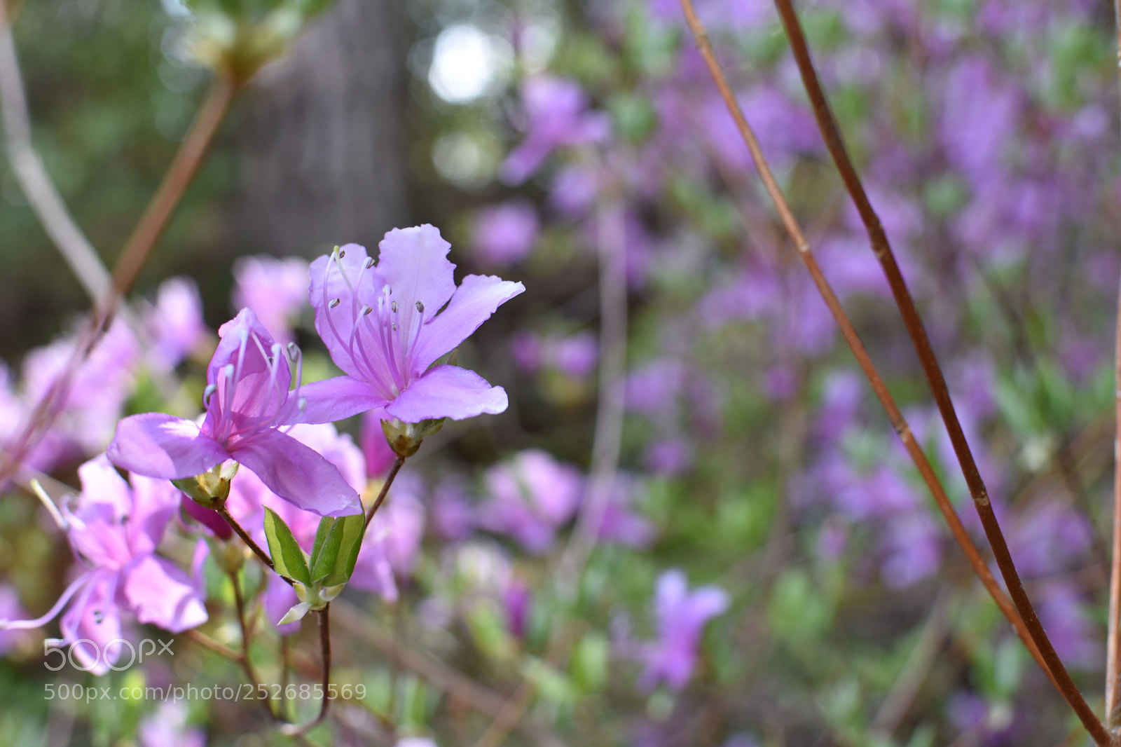 Nikon D3400 sample photo. Untitled photography