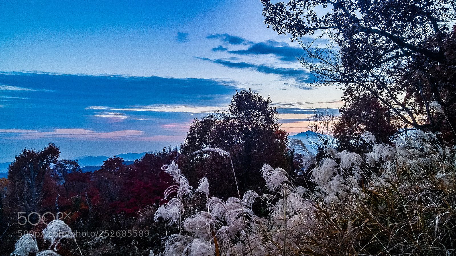 LG G3 sample photo. Beauty of autumn photography