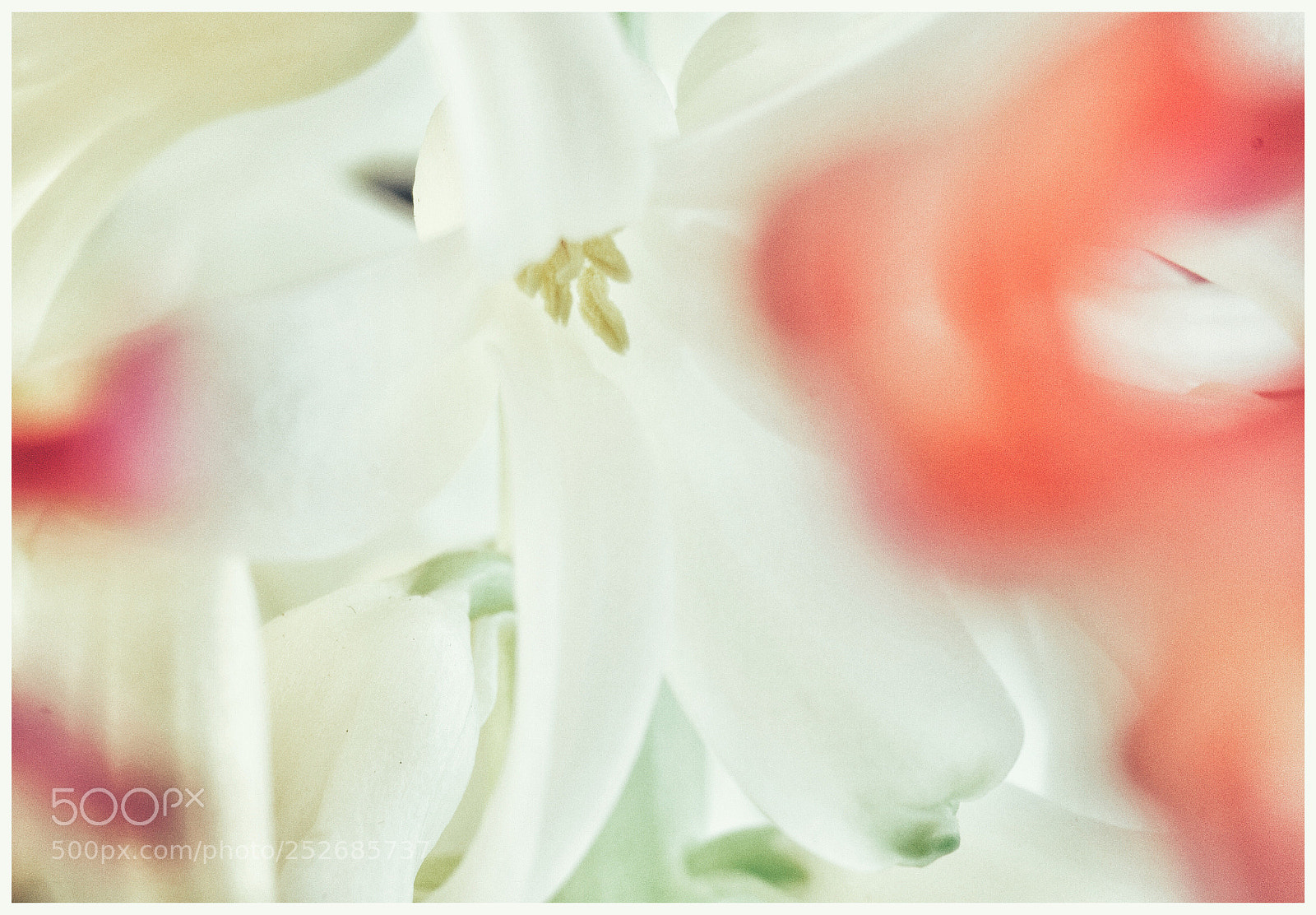 Nikon D3300 sample photo. Untitled photography