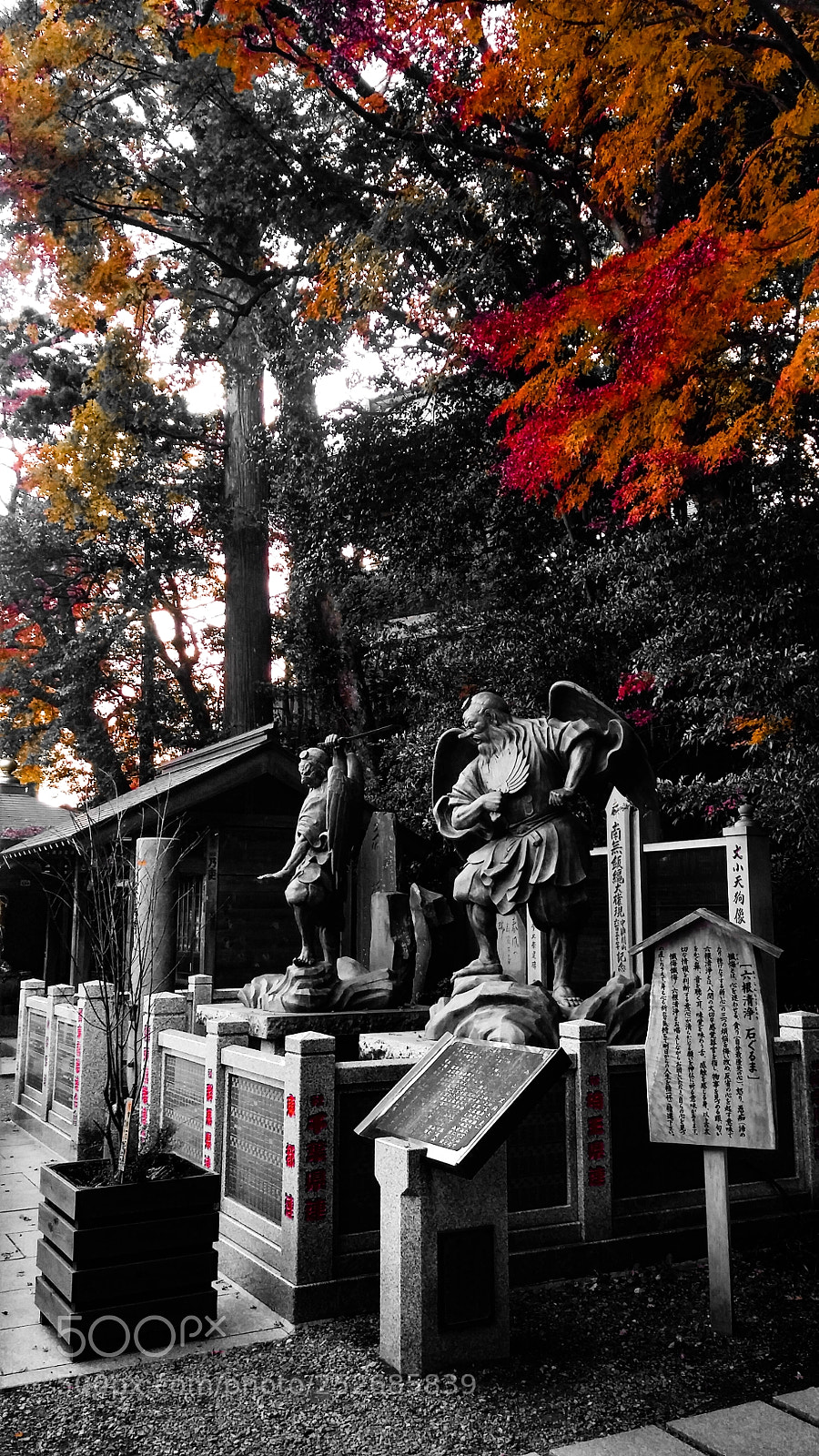 LG G3 sample photo. Tengu at takao-san photography
