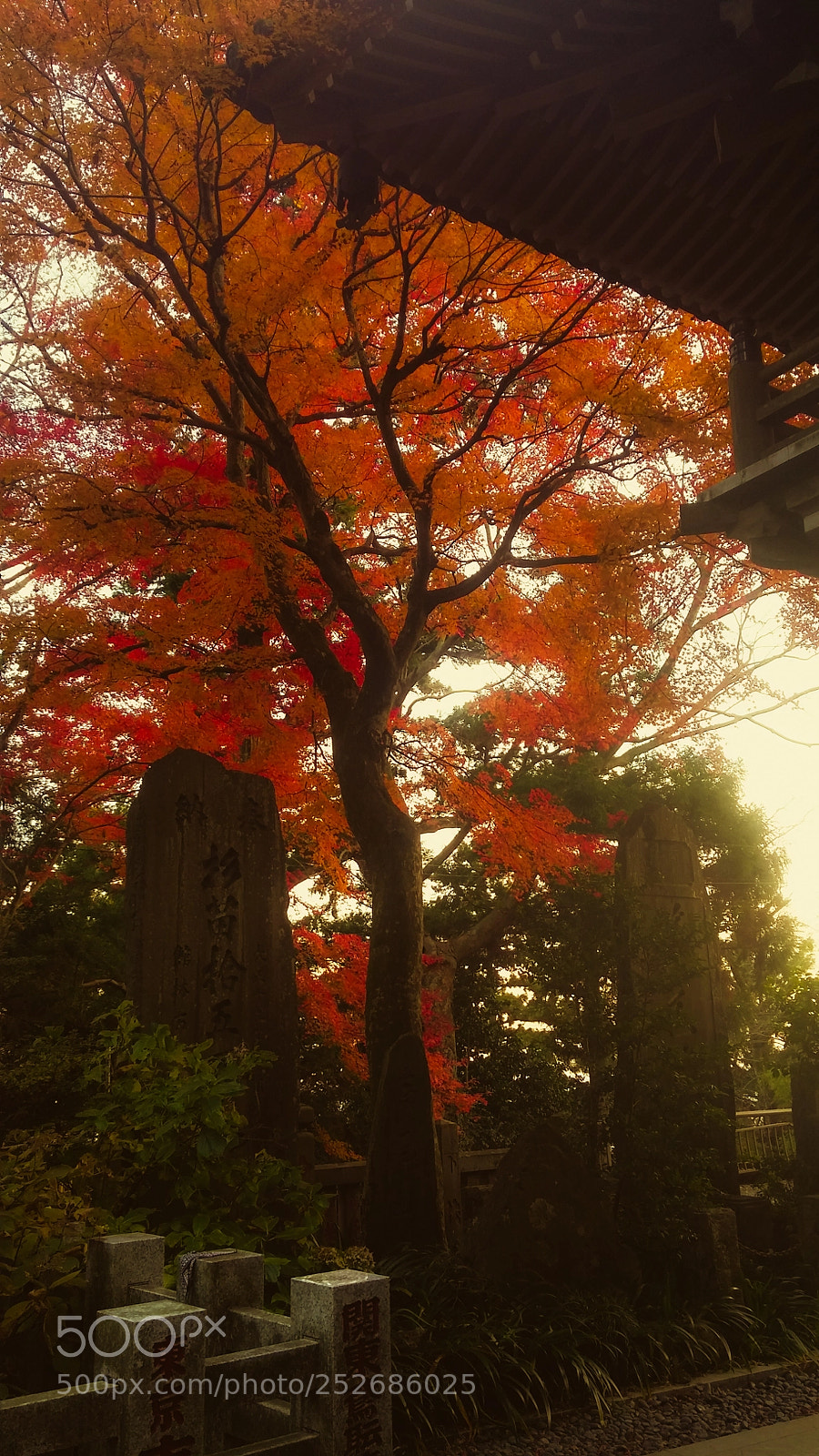 LG G3 sample photo. Funeral stones and momiji photography