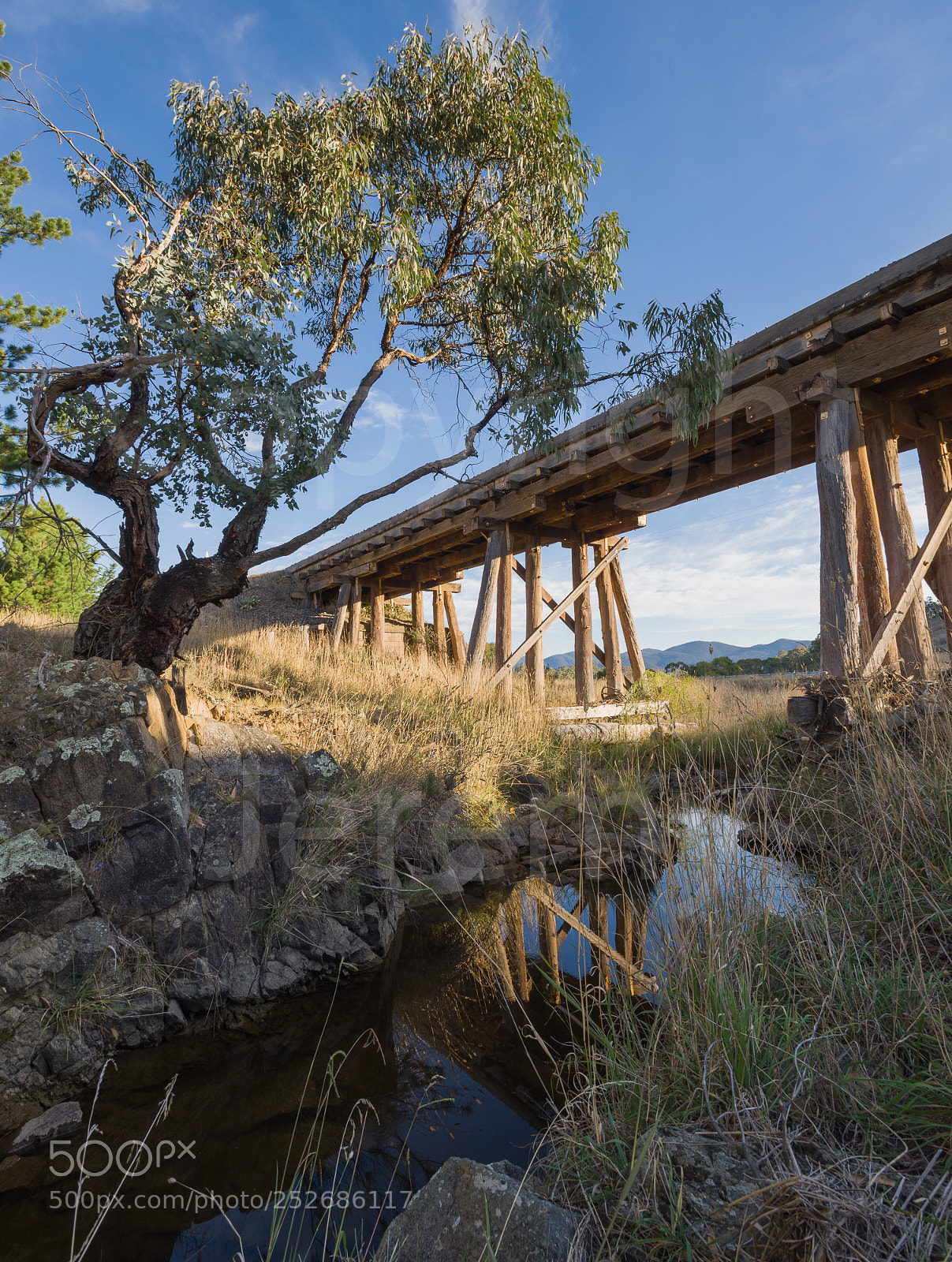 Nikon D810 sample photo. Rail bridge photography