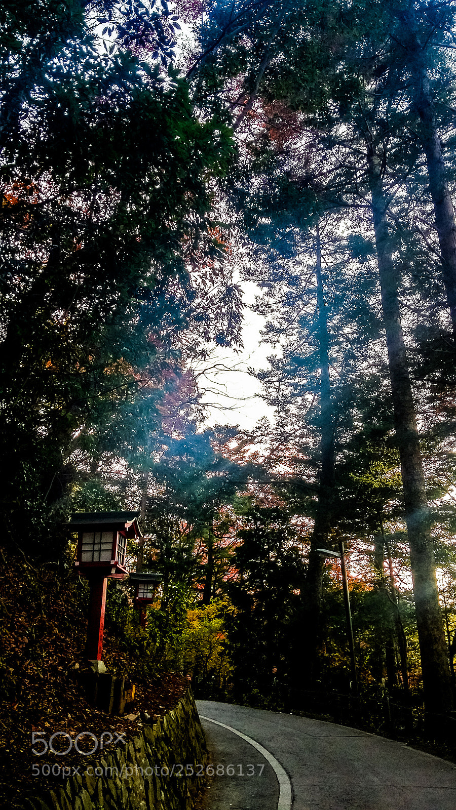 LG G3 sample photo. On the way to photography