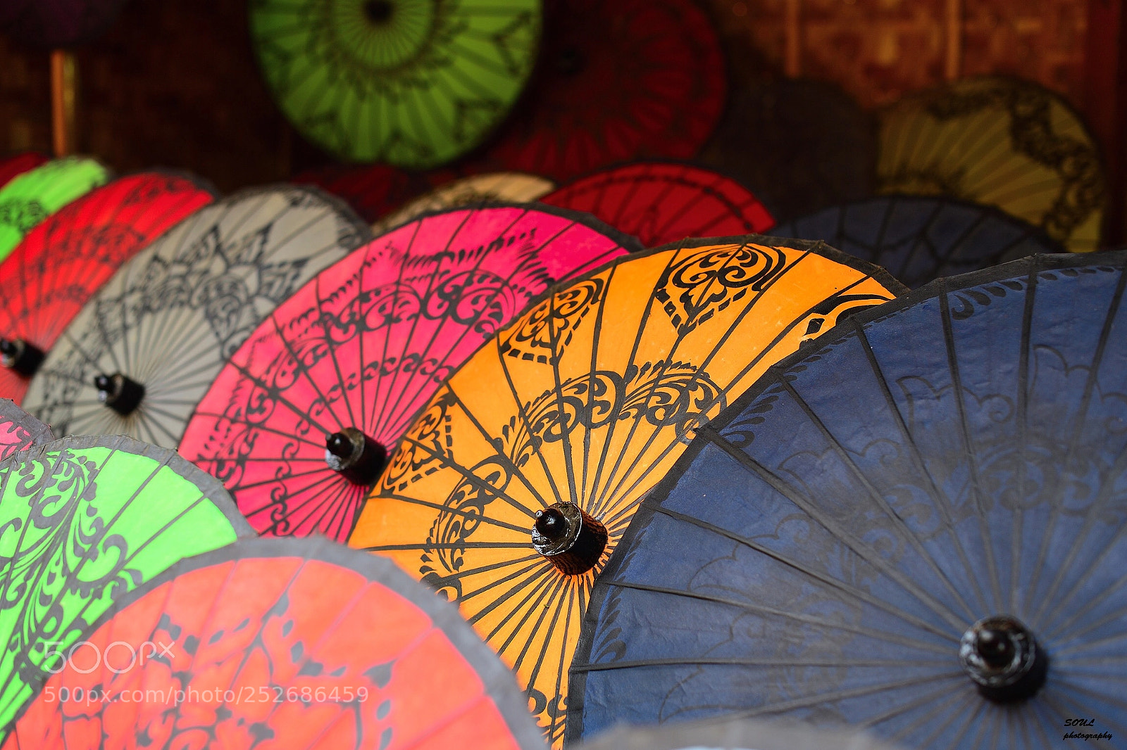 Nikon D5 sample photo. Colorful photography