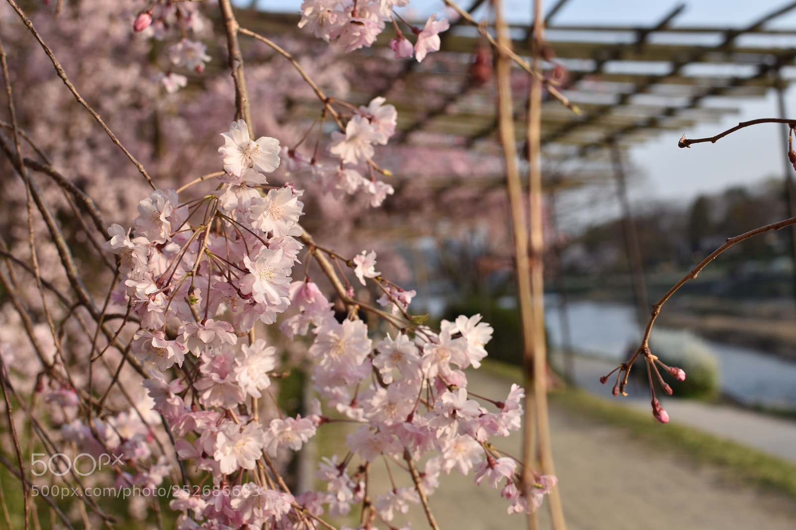Nikon D3400 sample photo. Untitled photography