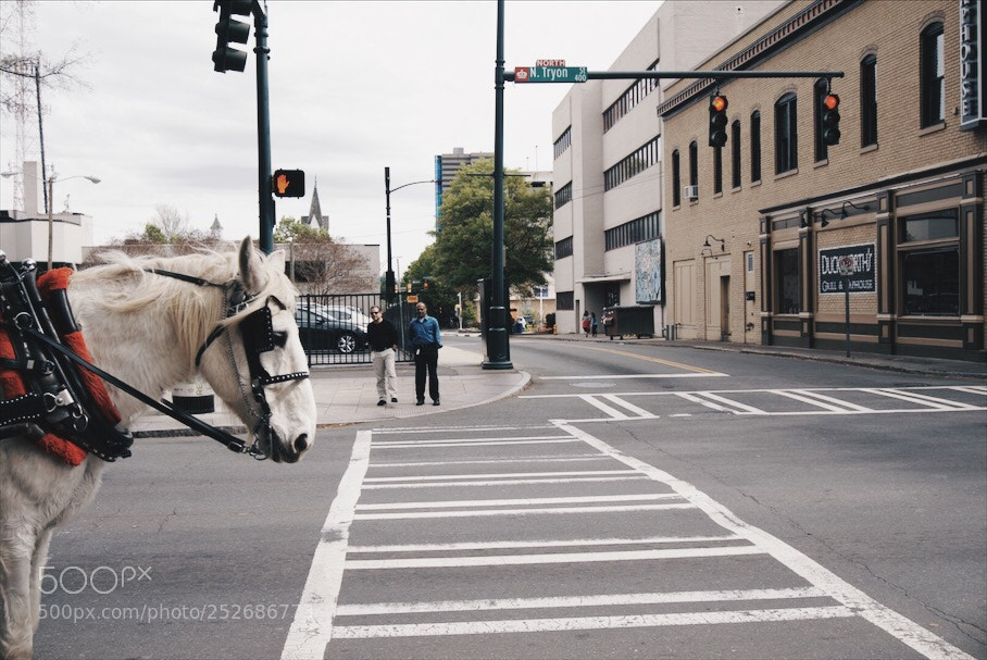 Sony a6000 sample photo. Chariot photography