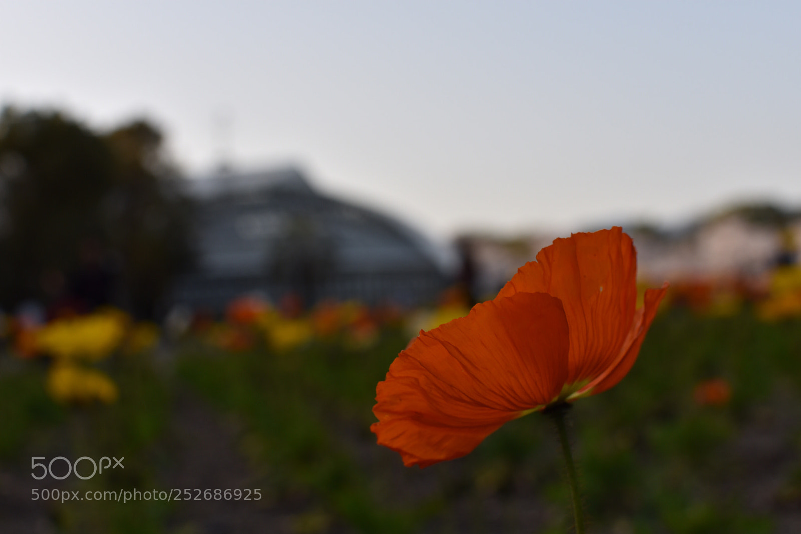 Nikon D3400 sample photo. Untitled photography