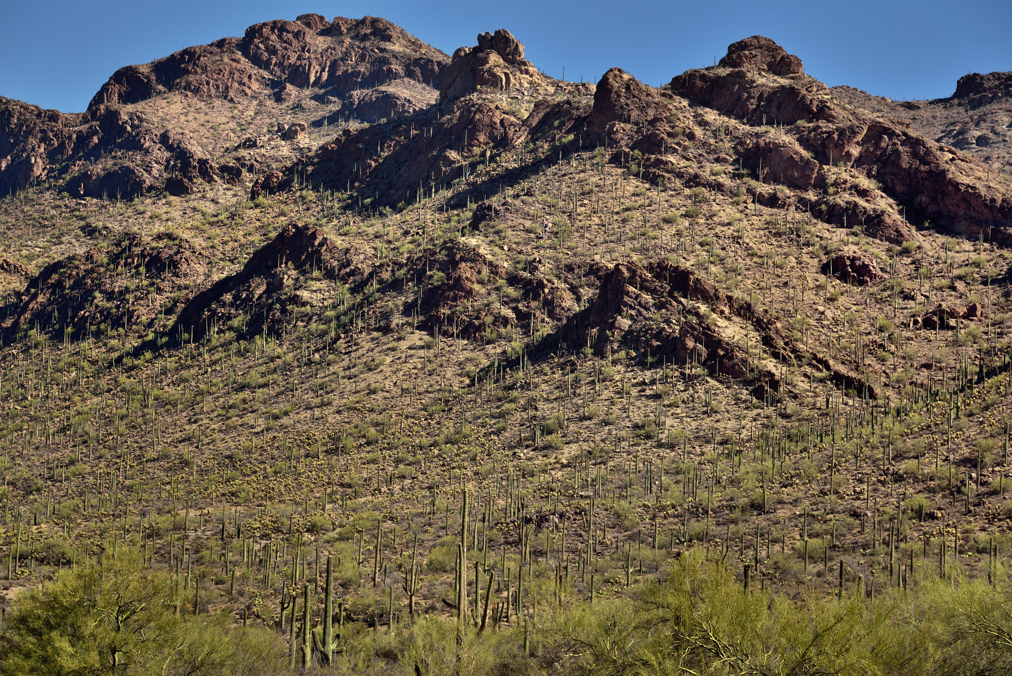 Nikon AF-S Nikkor 24-120mm F4G ED VR sample photo. A rugged landscape and jagged peaks on bushmaster peak photography