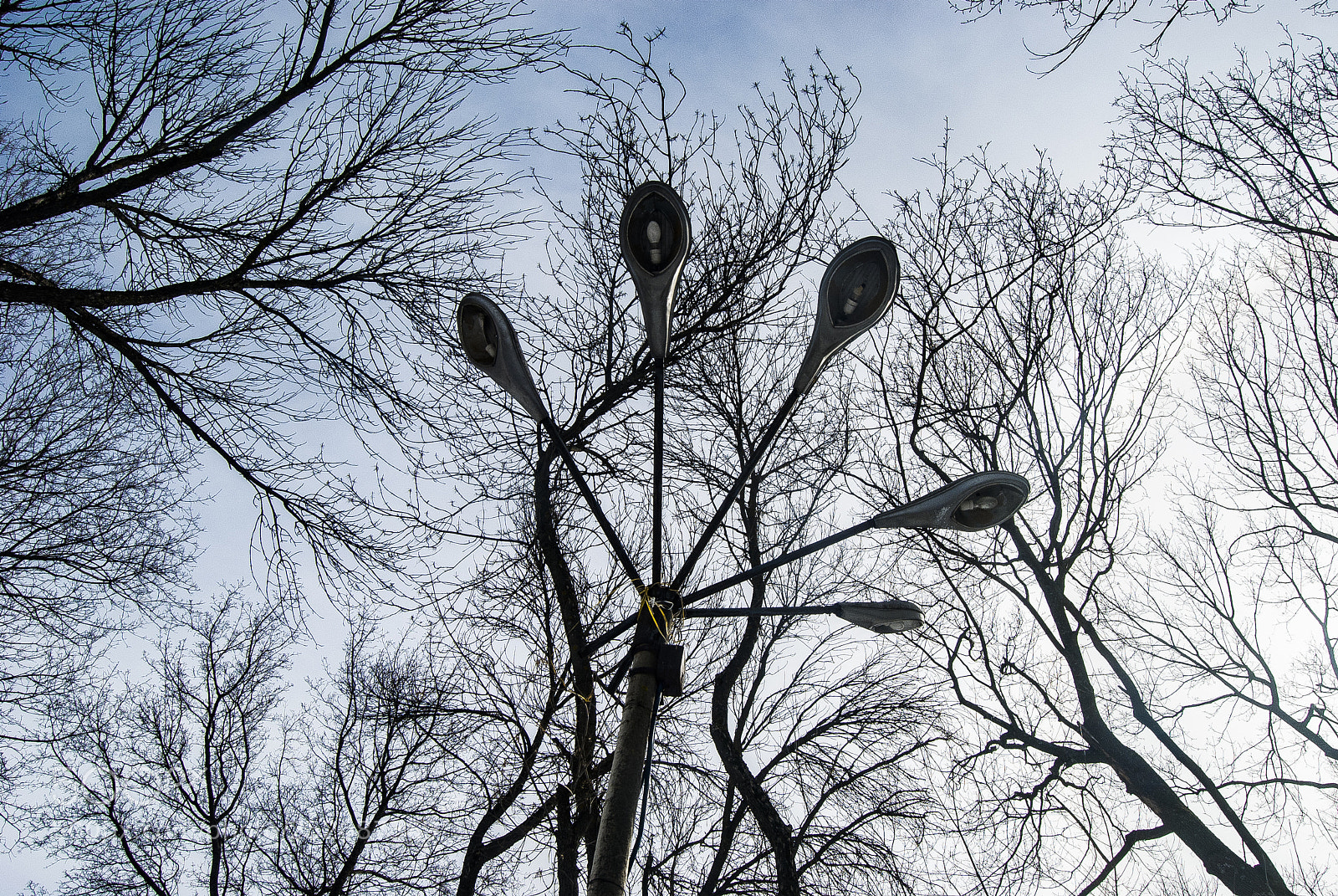 Nikon D3000 sample photo. Palming photography