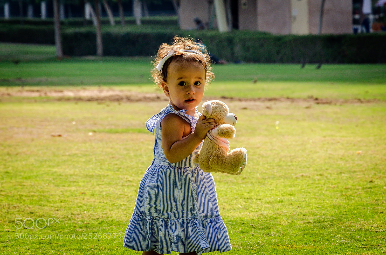 Nikon D7000 sample photo. Teddy bear photography