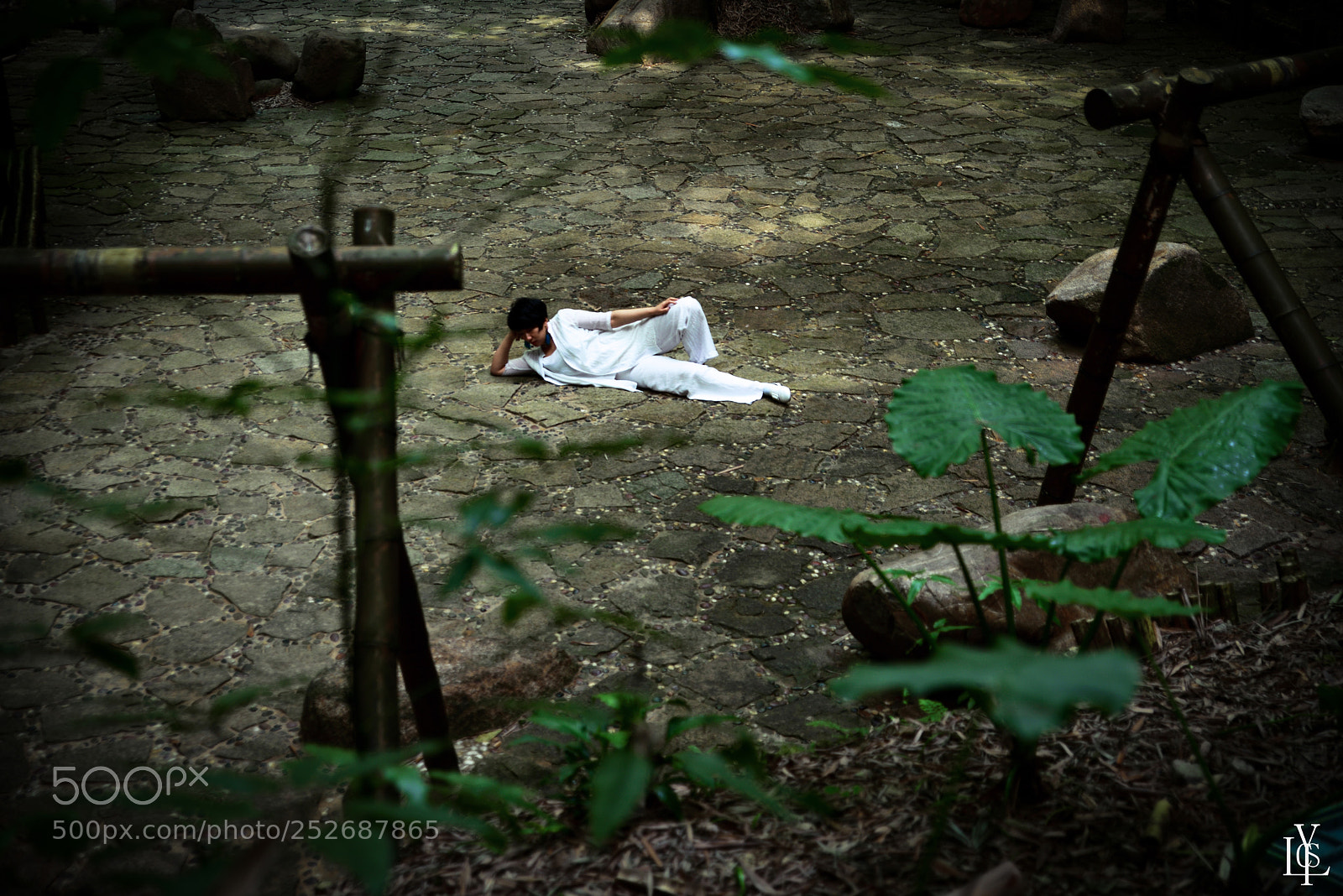 Nikon D810 sample photo. 静心 photography