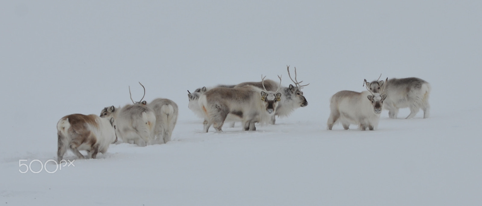 Nikon D7000 sample photo. In the wilderness photography