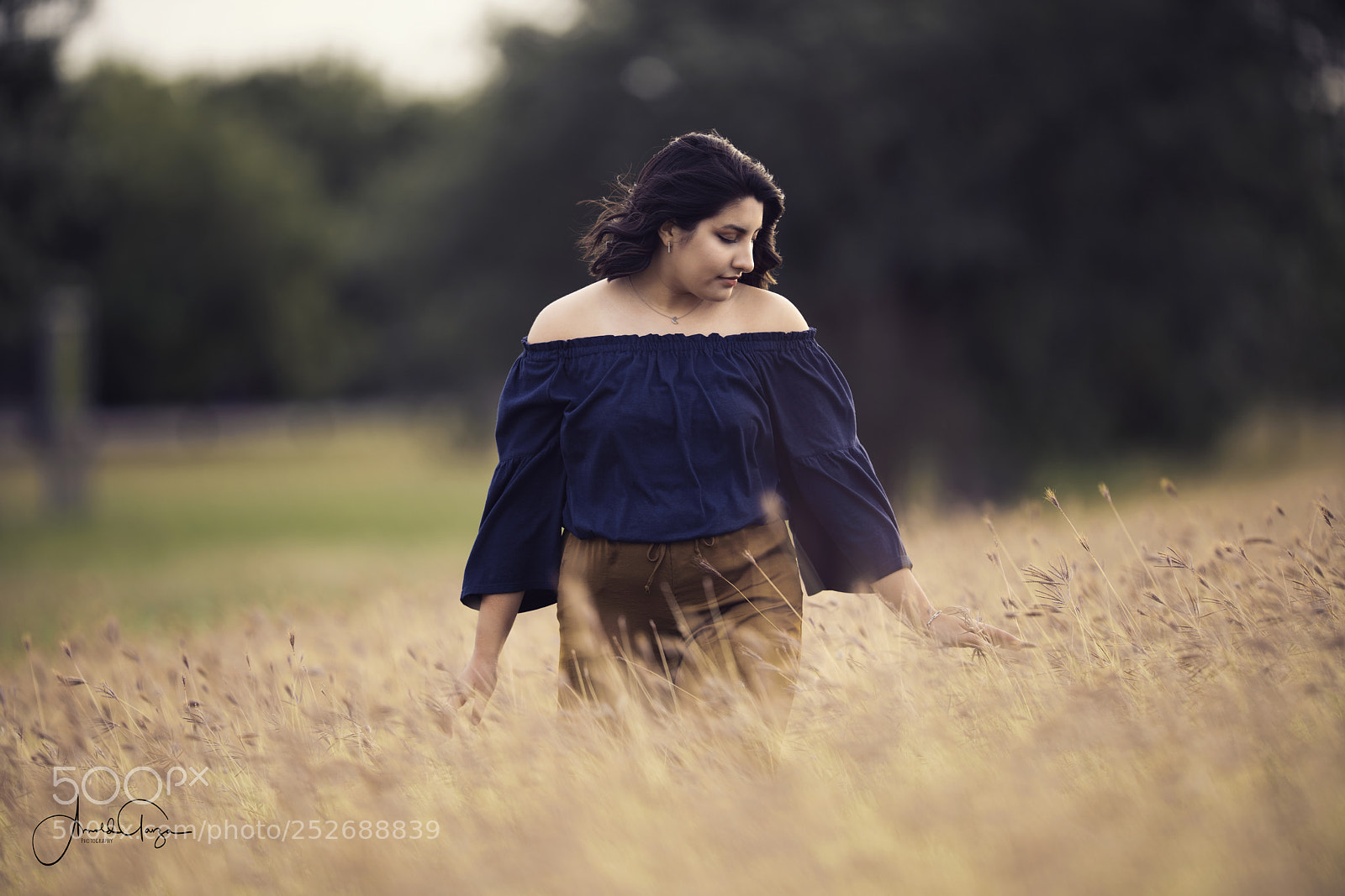 Sony a7R III sample photo. Rose photography