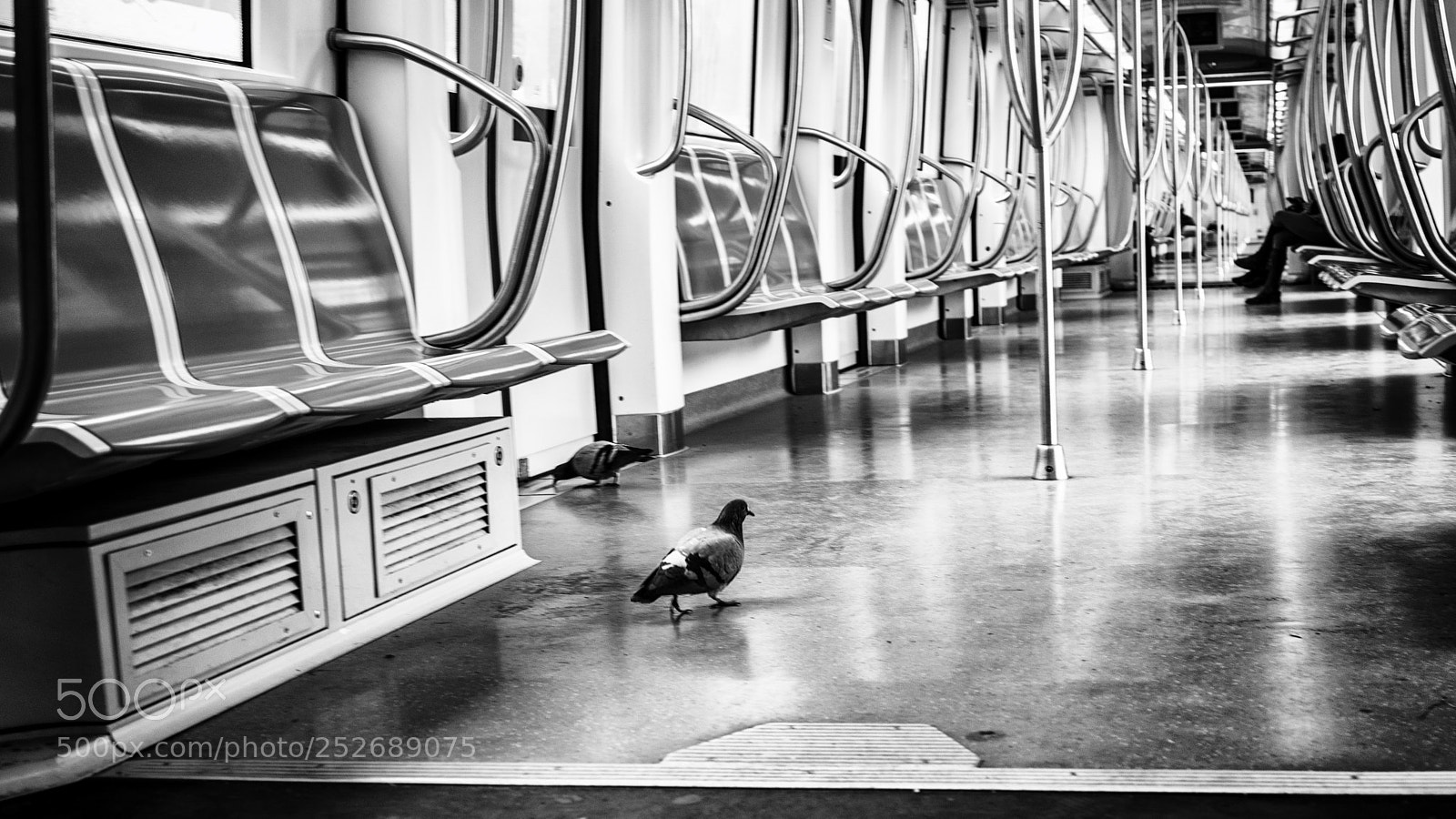 Sony a7R II sample photo. Subway #75 photography