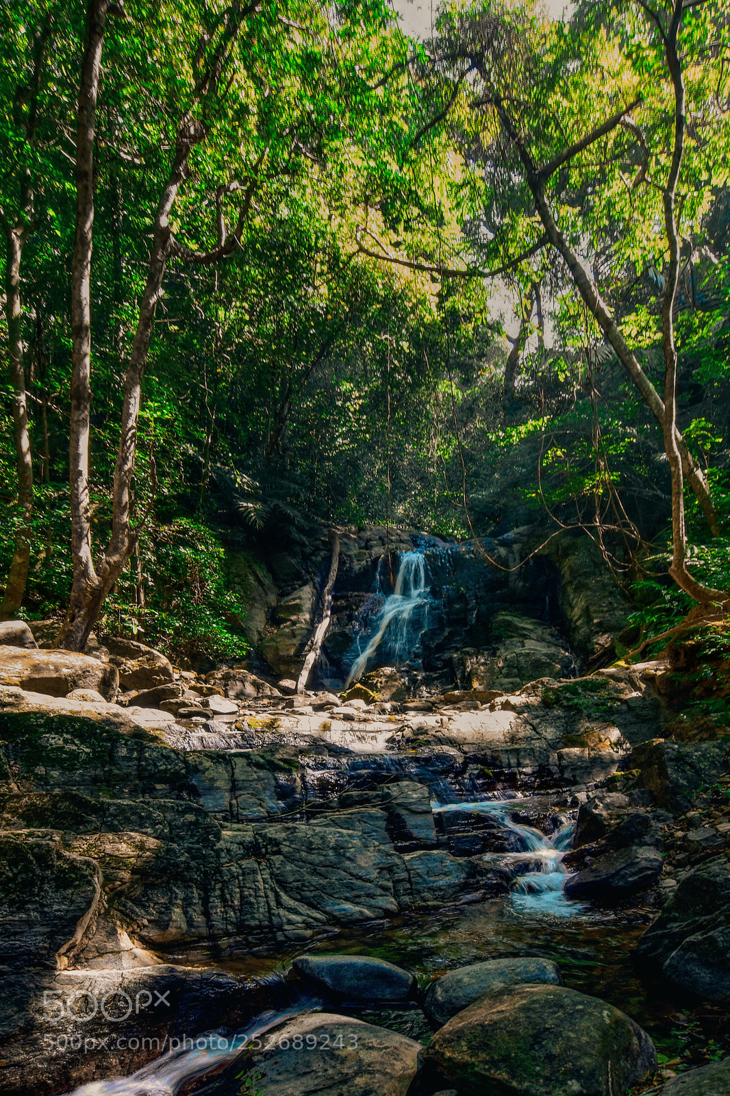 Nikon D5600 sample photo. Untitled photography