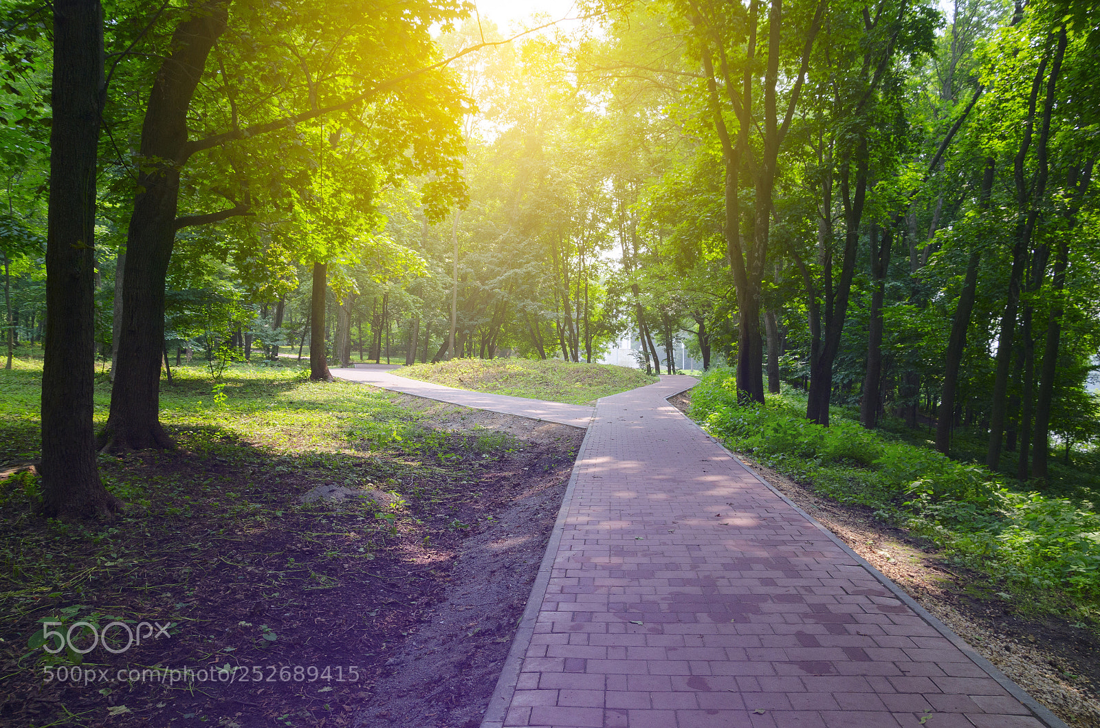 Nikon D5100 sample photo. Fork in the road photography