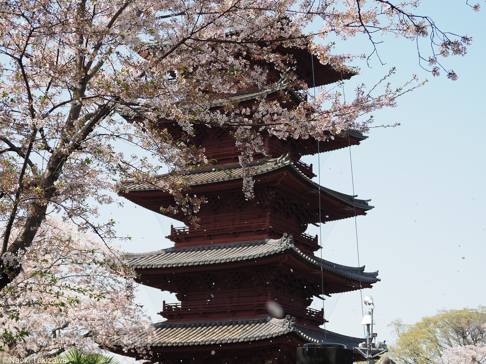 Olympus OM-D E-M1 Mark II sample photo. 5-storied pagoda photography
