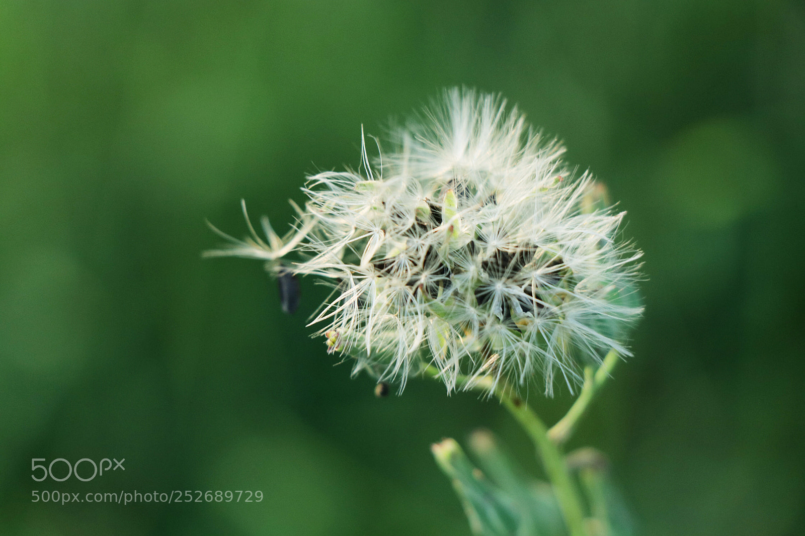 Canon EOS 80D sample photo. Untitled photography