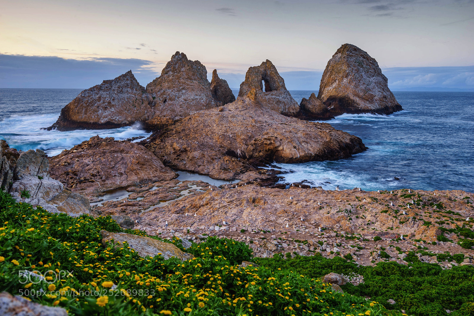 Sony a7 II sample photo. Farallon sea stacks photography