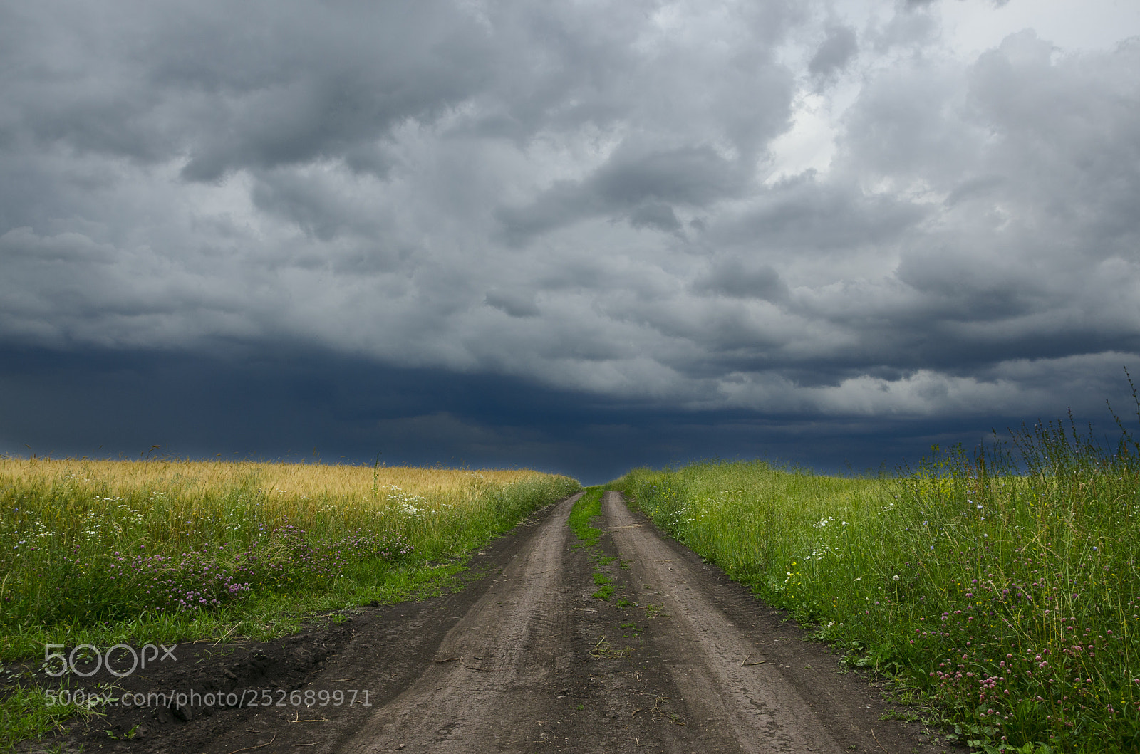 Nikon D5100 sample photo. To the storm photography