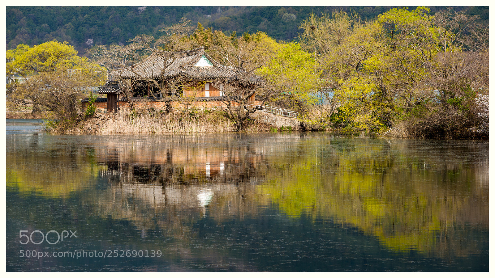 Nikon D700 sample photo. 위양지 photography