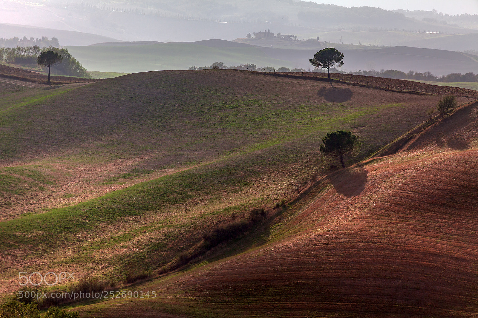 Canon EOS 5D Mark II sample photo. Tuscan stories #37 photography
