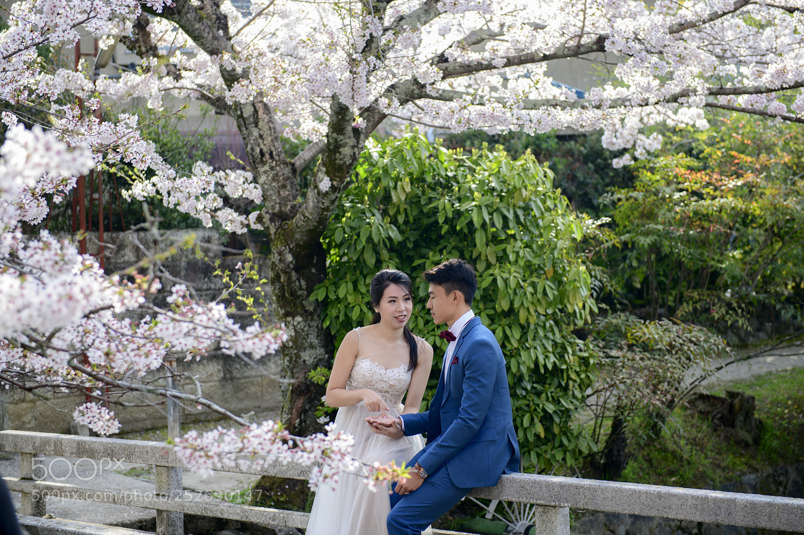 Nikon D850 sample photo. Cherry blossom wedding kyoto photography